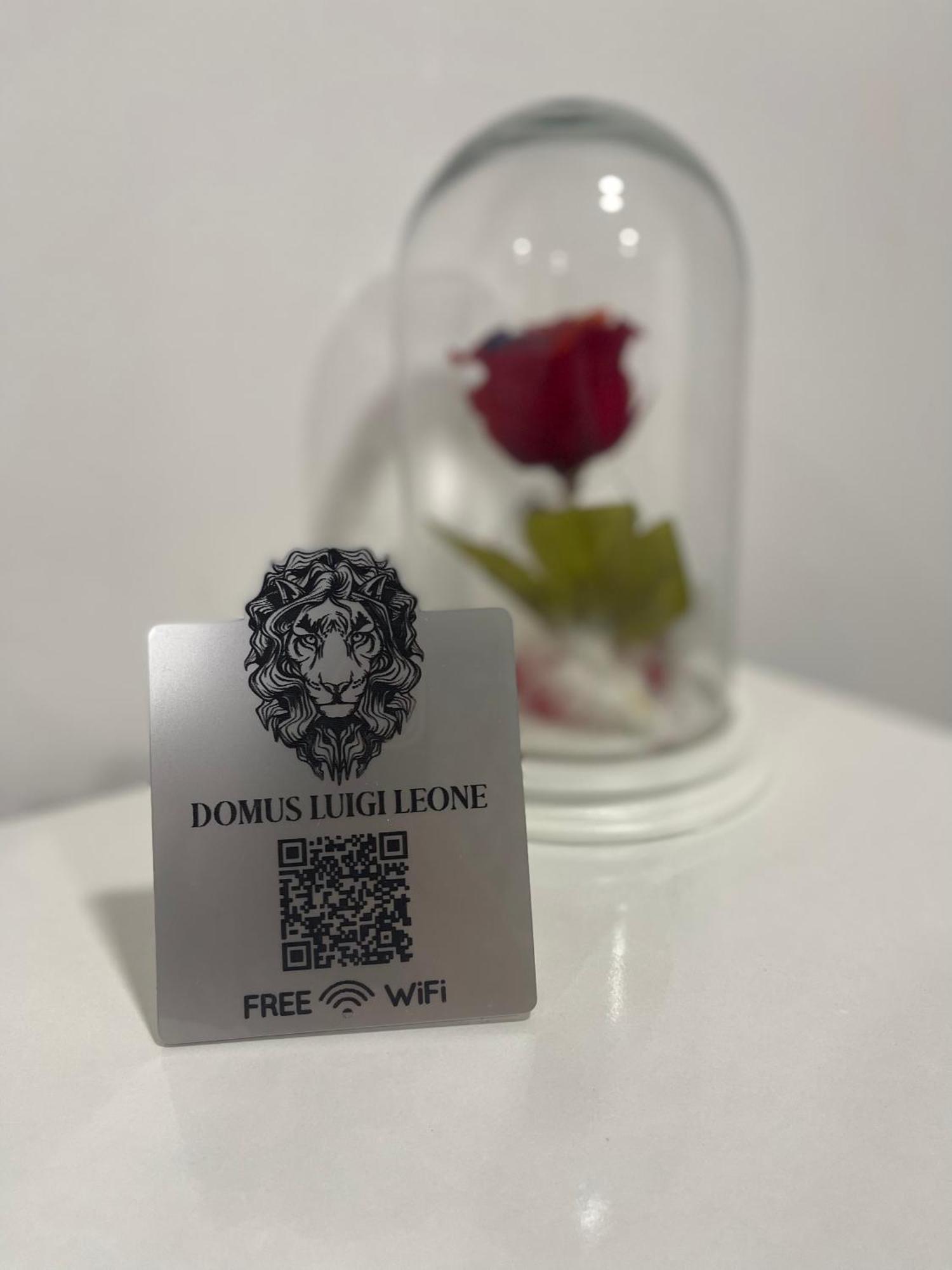 Apartment Domus Leone *